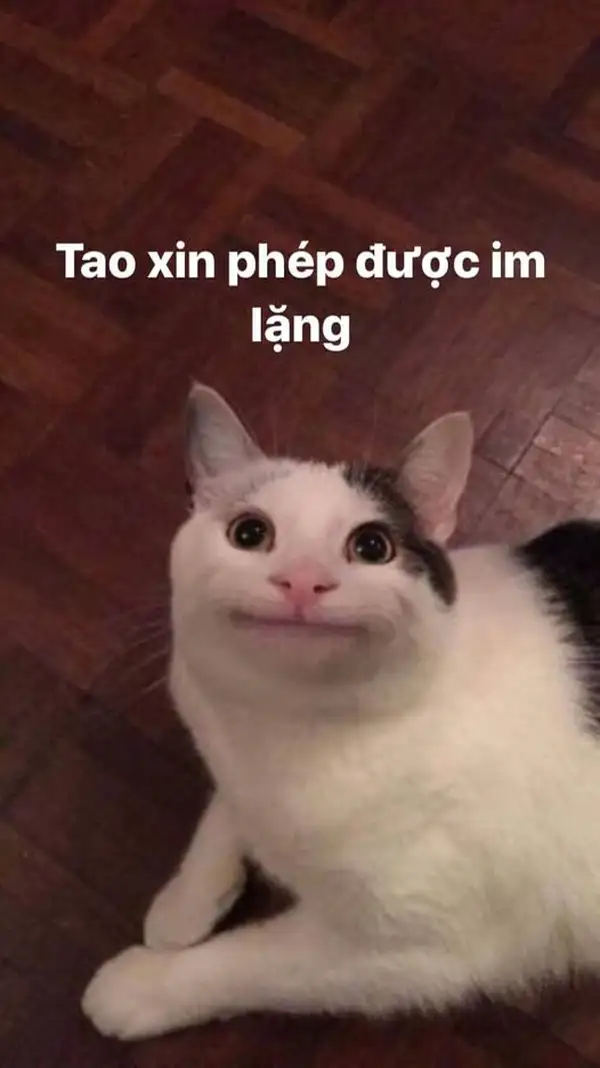 meme xin phép suỵt im lặng 