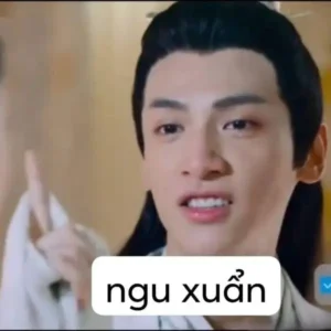 99+ Ảnh meme Trung Quốc hài hước khiến bạn cười vỡ bụng
