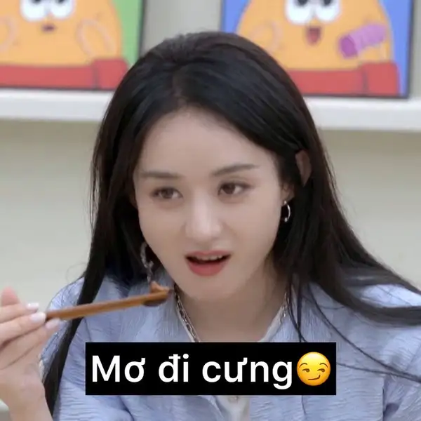 ảnh meme trung quốc mơ đi cưng