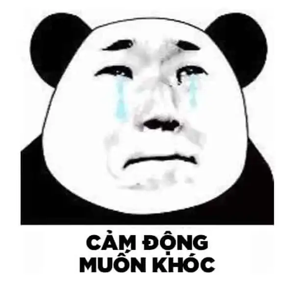 meme trung quốc cảm động 