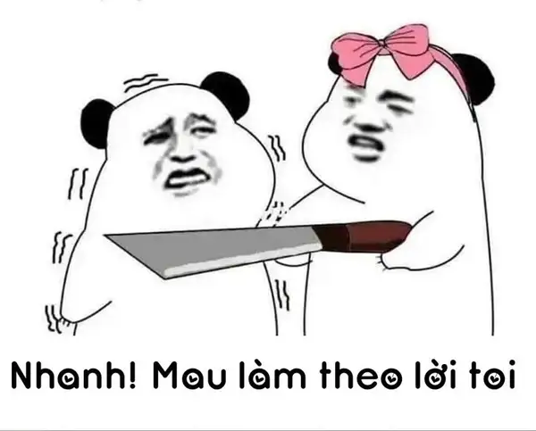 meme trung quốc gấu trúc