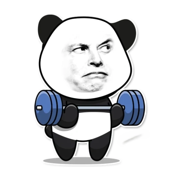 meme gấu trúc mắt thâm mệt mỏi