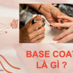 Base Coat Là Gì?