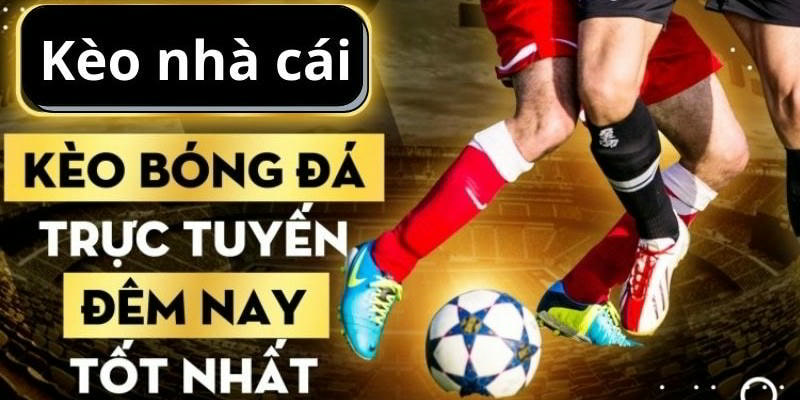 Tỷ lệ kèo nhà cái trong cược xiên mang lợi nhuận cao