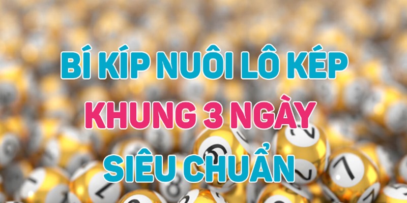 Phương pháp nuôi lô kép khung 3 ngày dựa trên sự xuất hiện của song thủ lô