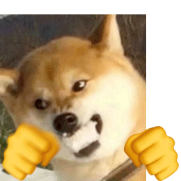 gif boxing con chó