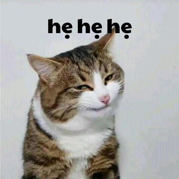 ảnh meme ha ha ha ha chế hài 