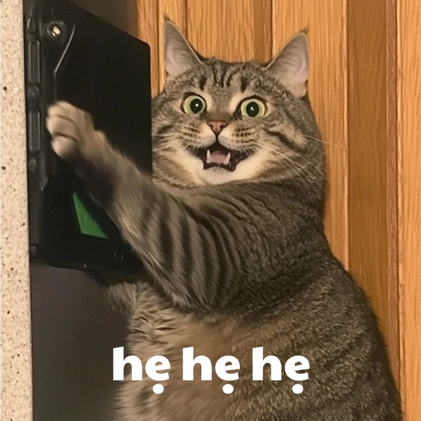 ảnh chế hẹ hẹ hẹ meme 