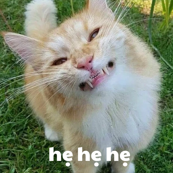 ha ha ha ha meme viral nhất 