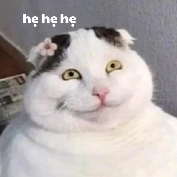 hẹ hẹ hẹ meme gif vui 