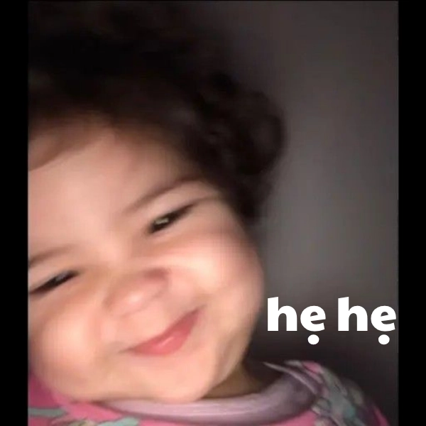 ảnh meme ha ha ha ha vui nhộn 
