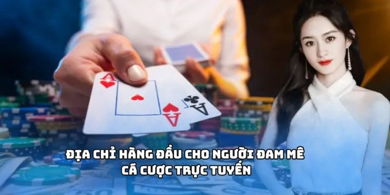Địa chỉ hàng đầu cho người đam mê cá cược trực tuyến