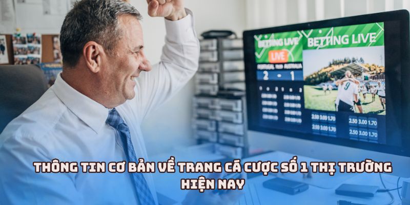 Thông tin cơ bản về trang cá cược số 1 thị trường hiện nay