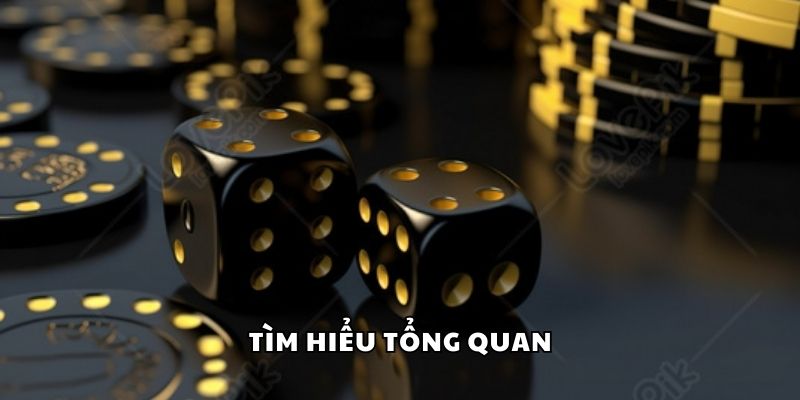 Tìm hiểu tổng quan