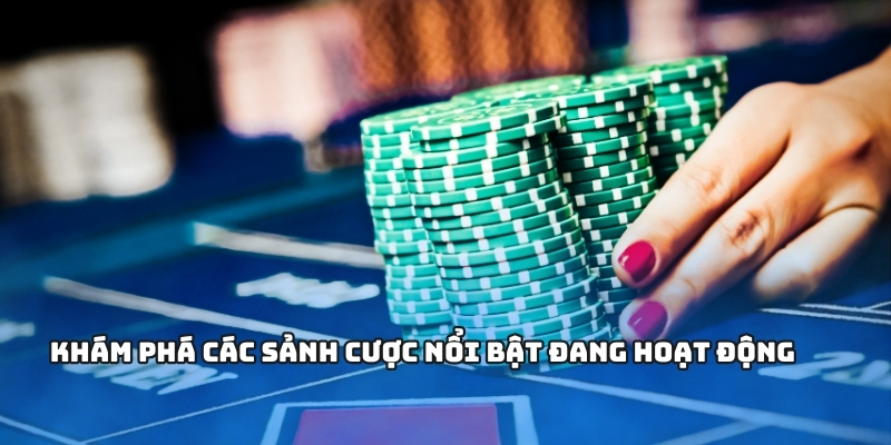 Khám phá các sảnh cược nổi bật đang hoạt động