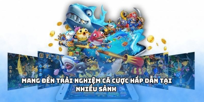 Mang đến trải nghiệm cá cược hấp dẫn tại nhiều sảnh 