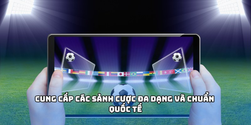 Cung cấp các sảnh cược đa dạng và chuẩn quốc tế