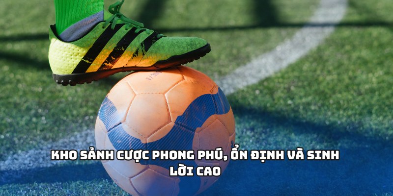 Kho sảnh cược phong phú, ổn định và sinh lời cao 