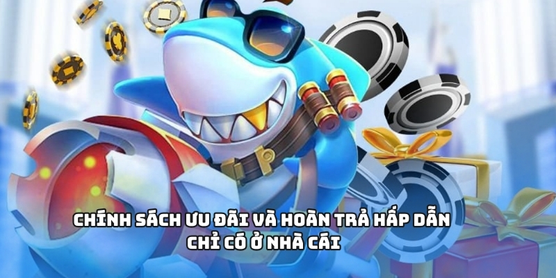 Chính sách ưu đãi và hoàn trả hấp dẫn chỉ có ở nhà cái