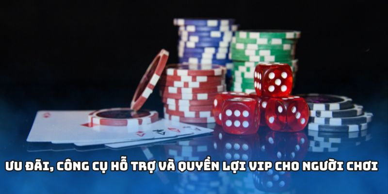 Ưu đãi, công cụ hỗ trợ và quyền lợi VIP cho người chơi  