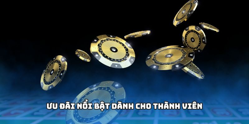 Ưu đãi nổi bật dành cho thành viên