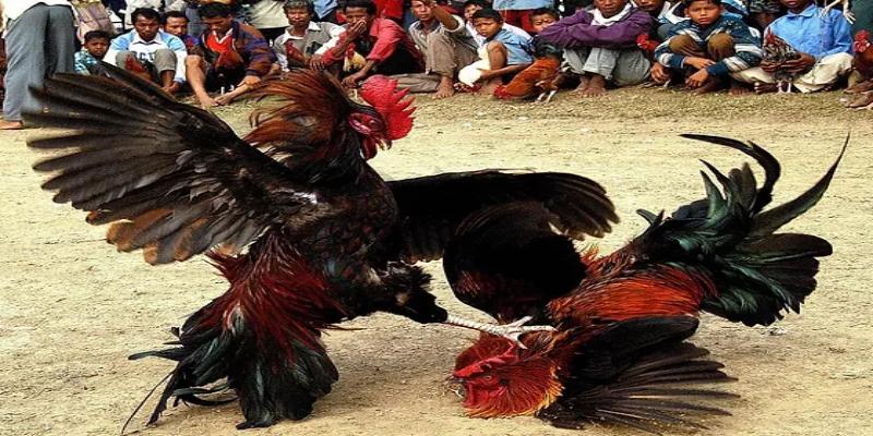 Đăng ký theo dõi – tận dụng ưu đãi từ nhà cái uy tín