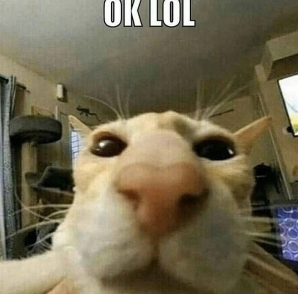 ảnh xàm lol meme cho giới trẻ 