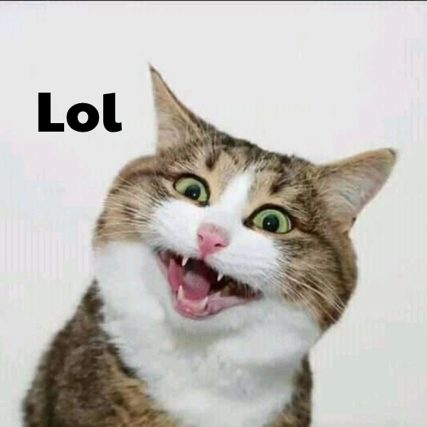 meme xạo lol viral 