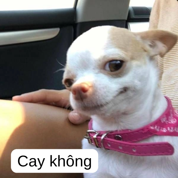 meme cay thế nhờ hài không nhịn được 