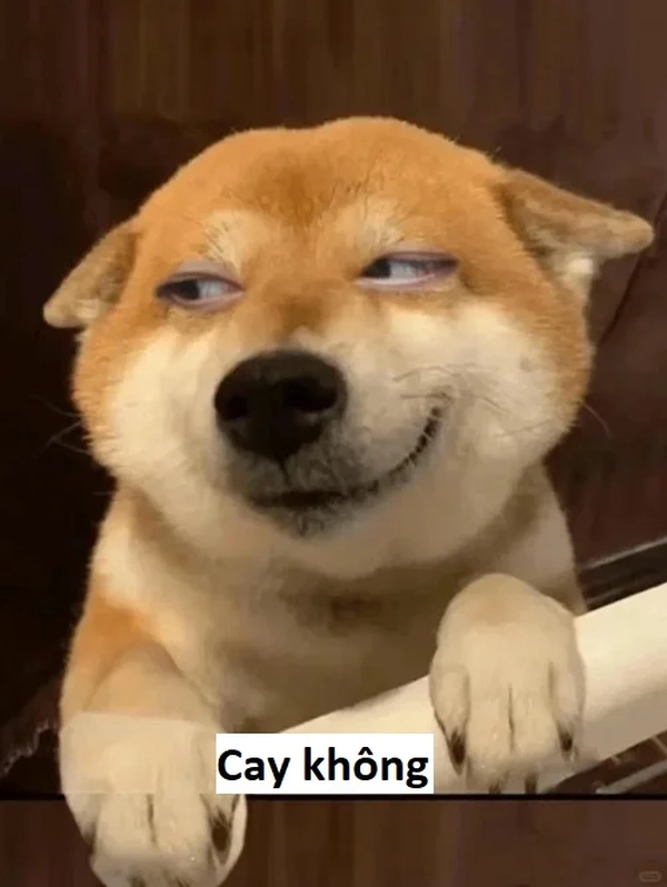 ảnh meme cay quá siêu mặn 
