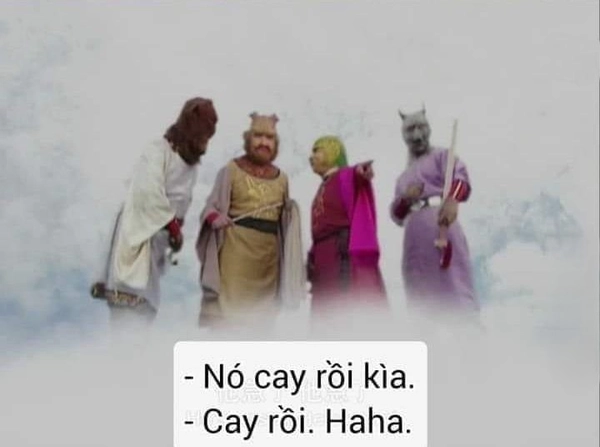ảnh meme chế bạn cay tôi à 