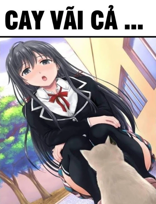 meme cực cay quá trời quá đất 