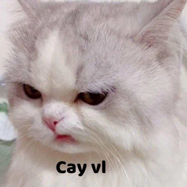 hình meme cay cú cực gắt 
