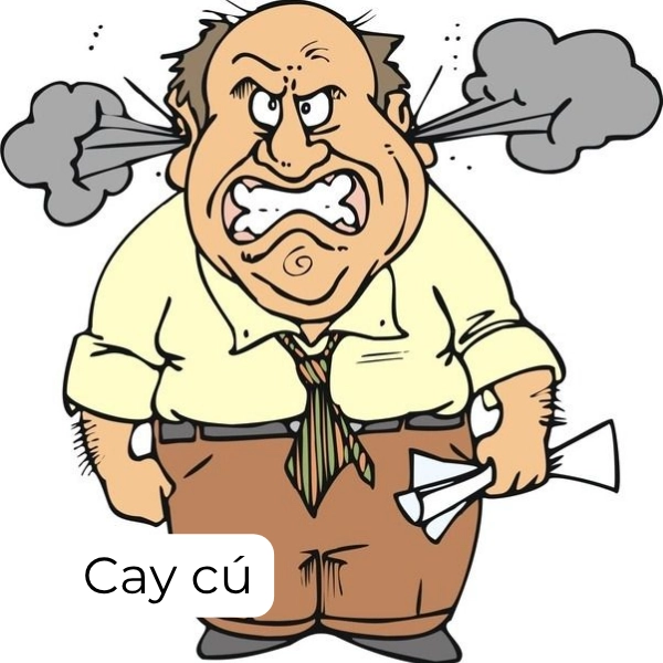ảnh chế bạn cay tôi à meme 