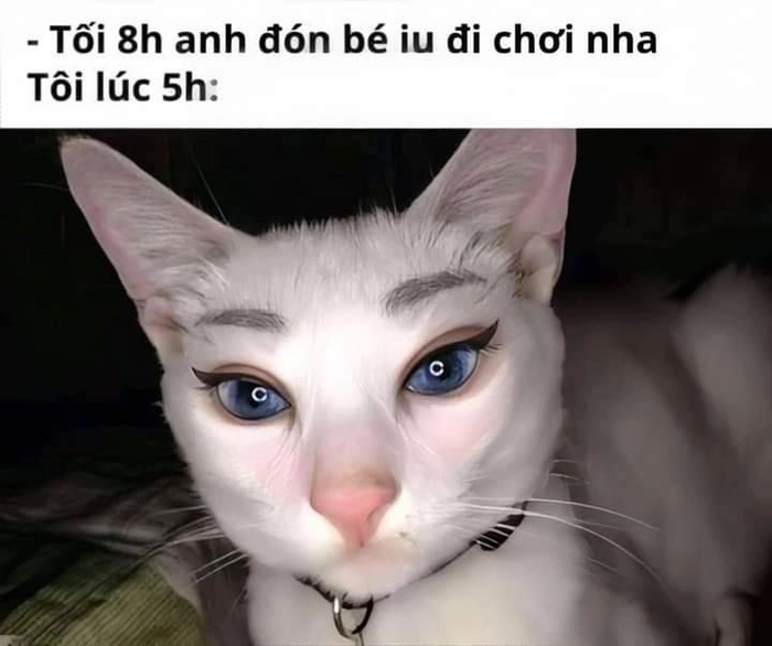 đi chơi meme với bạn trai