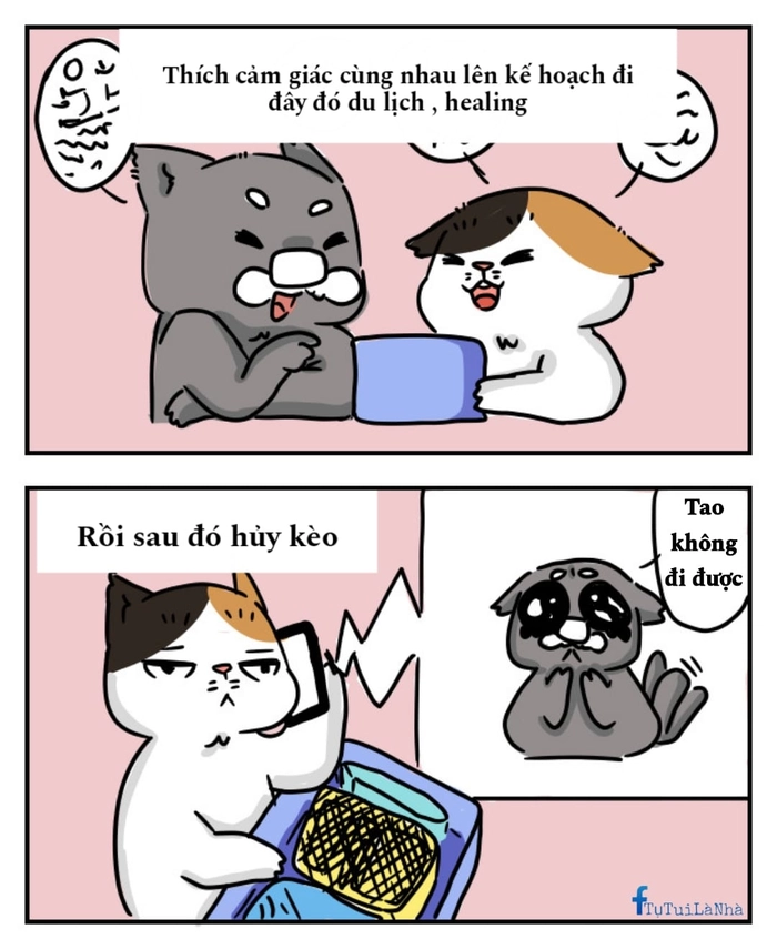 meme du lịch