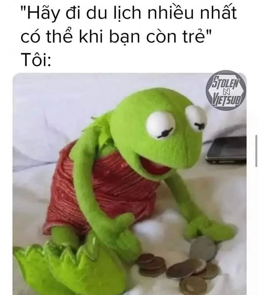 là tôi meme đi chơi