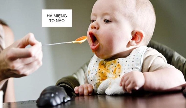 ảnh meme đút cơm 