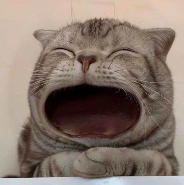hình ảnh há miệng đút ăn 