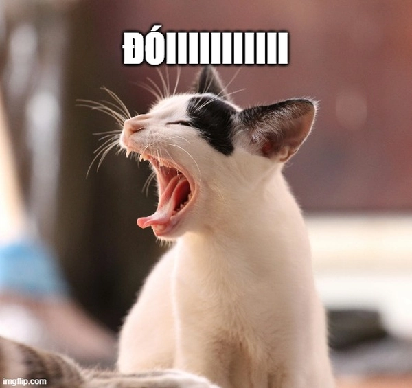 meme hài hước há miệng 