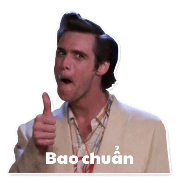 meme chuẩn thật sự 