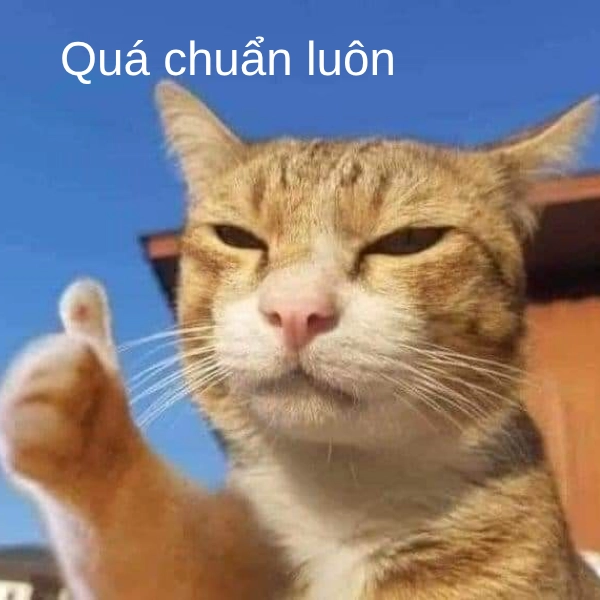 meme quá chuẩn chị ơi 