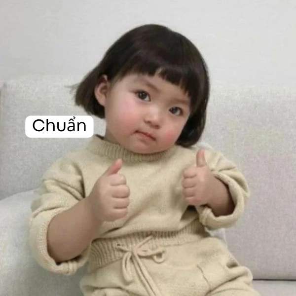 meme siêu chuẩn 