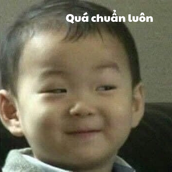 meme chuẩn thật sự 