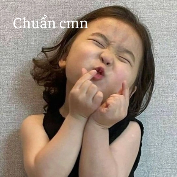 ảnh meme chuẩn vl 