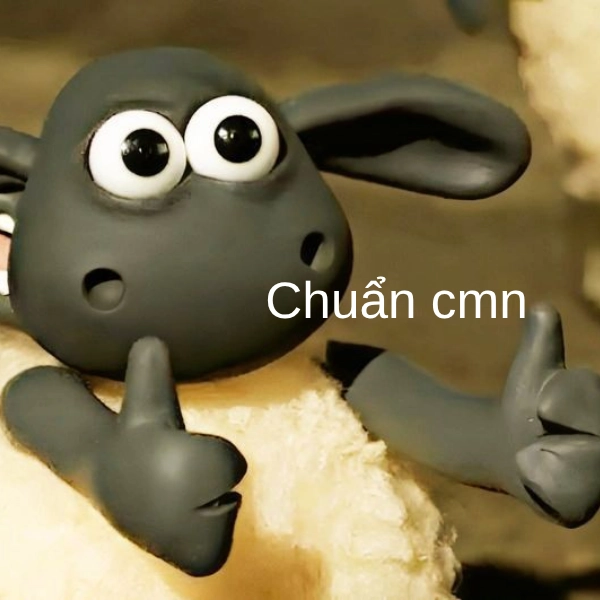 meme quá chuẩn luôn 