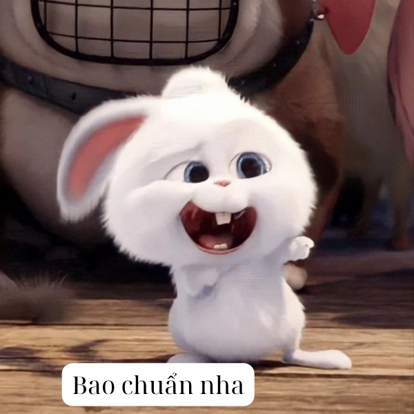 meme chuẩn không cần chỉnh 