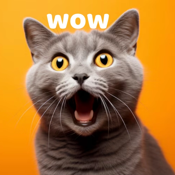 chưa đủ wow meme ảnh chế hài 