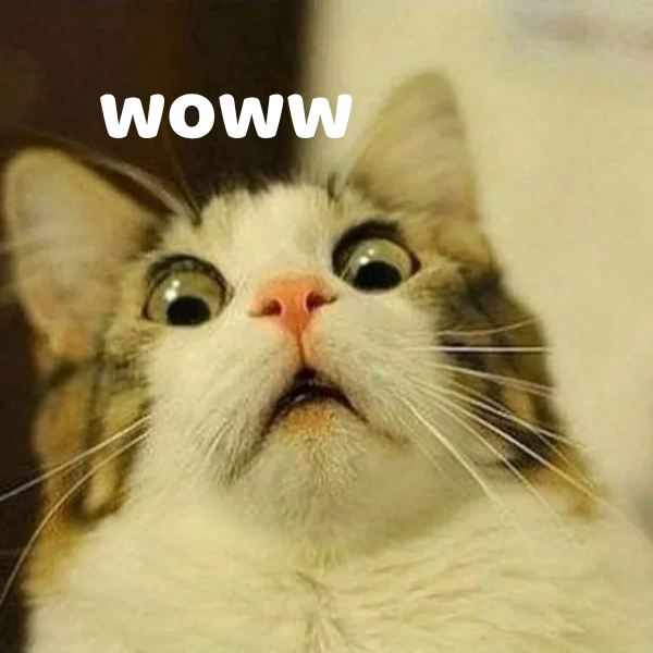 ảnh meme wow hài lạ 