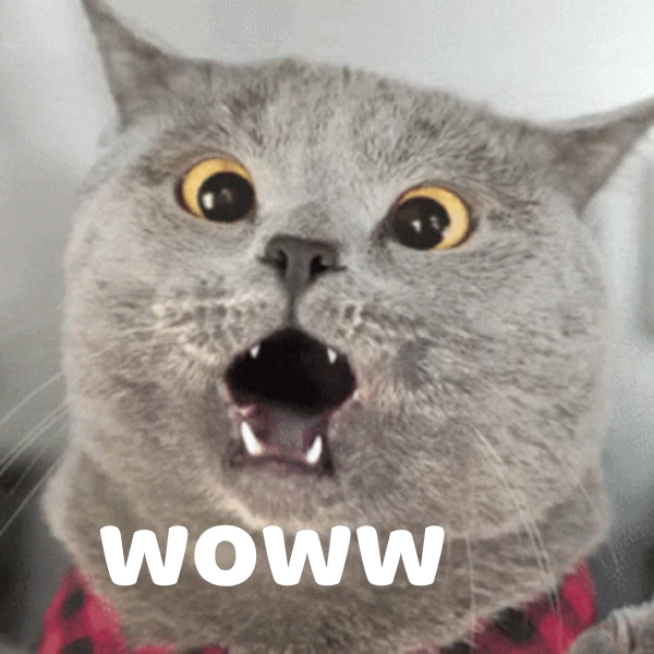 wow wow meme hình ảnh độc lạ 